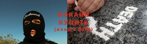 стаф Дмитров