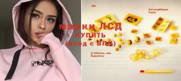 стаф Дмитров