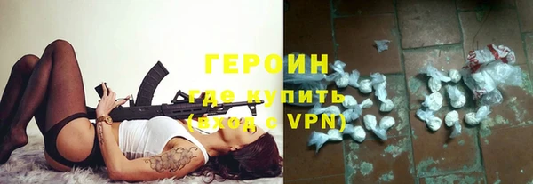 стаф Дмитров