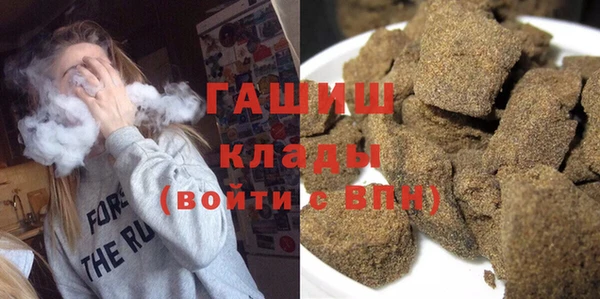 стаф Дмитров