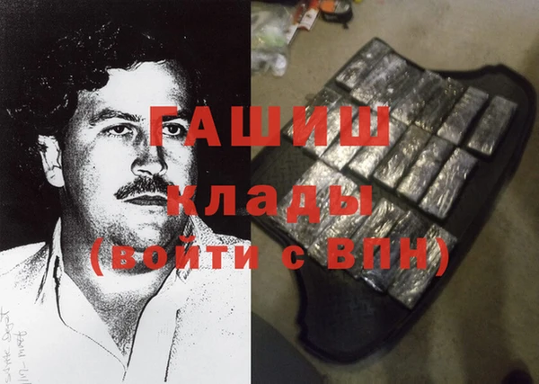 стаф Дмитров