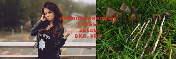 герыч Дмитровск