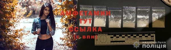 стаф Дмитров