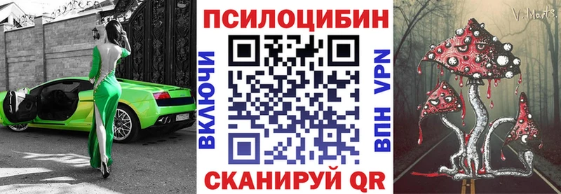 сколько стоит  Тверь  Псилоцибиновые грибы GOLDEN TEACHER 