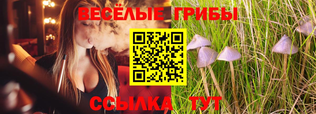 Тверь  Псилоцибиновые грибы Magic Shrooms  Вход с VPN 